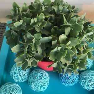 Meet your Posher, Cathy